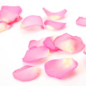 Rose Petals